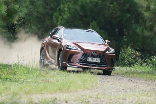 Lexus RX 450h+ Sang Chameleon