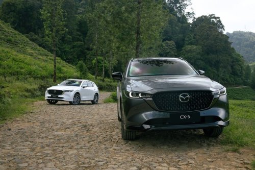 Mazda CX-5, Mazda, Lexus, Lexus RX, Curhat Pemilik Mazda CX-5, Lexus RX 300 Ketiban Pohon