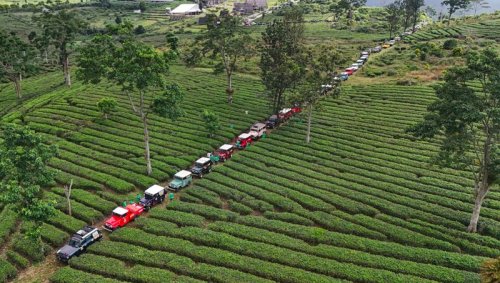 Toyota, Toyota Land Cruiser, Ratusan Toyota Land Cruiser Ramaikan Bandung, Ada Apa Nih?
