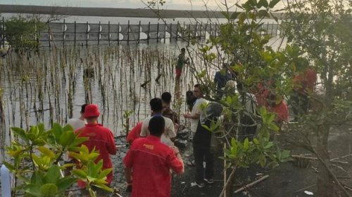 Ketika Innova Zenix Hybrid Diadu Irit, Ini Hasilnya