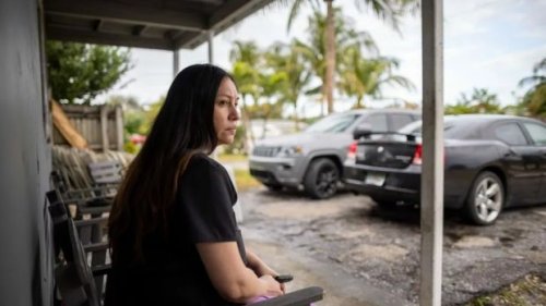 Apes! Emak-emak Didenda Rp 1,7 M Gegara Parkir Mobil di Rumput