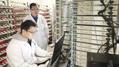 Ilmuwan China Bikin Baterai Mobil dari Plastik