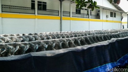 Dadan soal Motor MBG: Dulu Klaim di Bawah Harga, Ternyata Di-markup