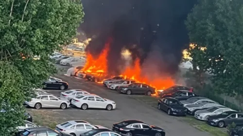 Niat Bersihkan Sampah Pohon Pakai Api, Berujung 20 Mobil Terbakar di Parkiran