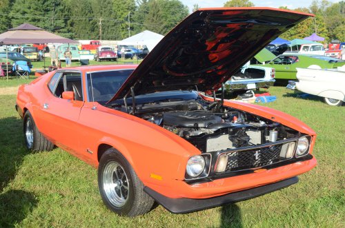 Mustangs Ponied Up at the Pumpkin Run Nationals