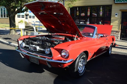 Mustangs Rode into North College Hill