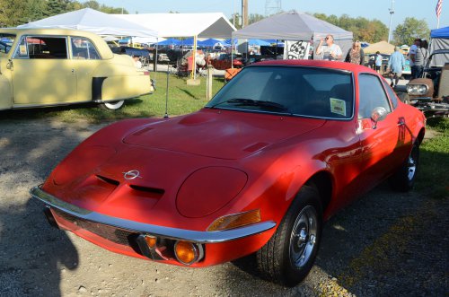 Foreigners Came to the Pumpkin Run