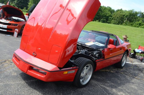 Light Turnout for Father's Day Show