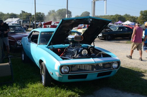 Customs At the Pumpkin Run