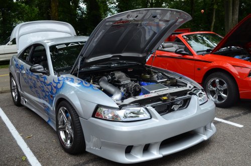 Mustangs Rolled into Fernbank Park