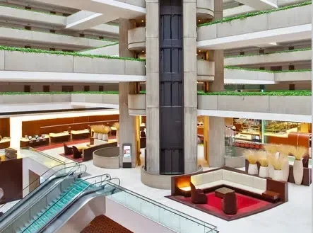 Then "Other" Big Block; The Mighty 427 L89!