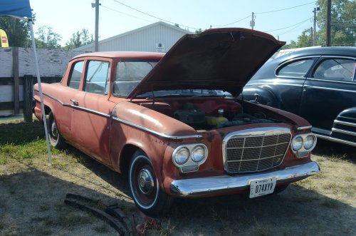 Great Variety at the Pumpkin Run