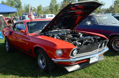 Mustangs At the Pumpkin Run Nationals
