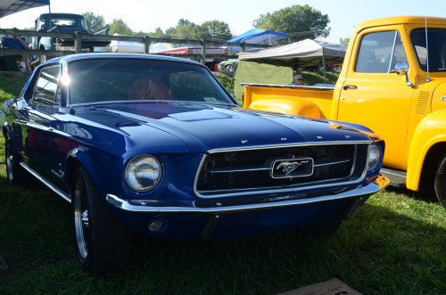 Mustangs At the Pumpkin Run Nationals