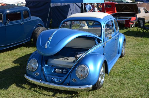 Bugs Made It to the Pumpkin Run