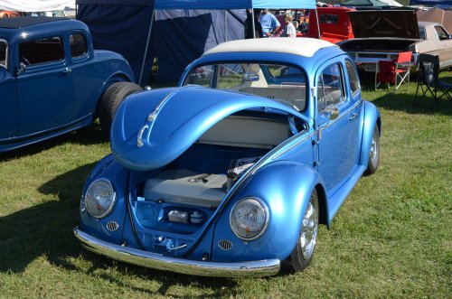 Bugs Made It to the Pumpkin Run