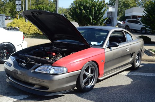 Mustangs Galloped to Batavia