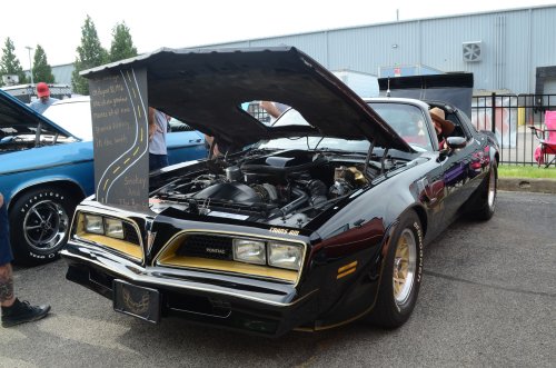 Pontiac, GM, Pontiac Showed Up for the All GM Car Show