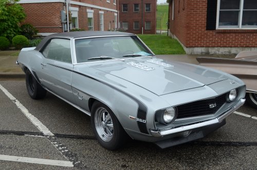 Back to Cruisin' to a Cure