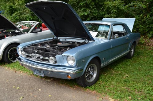 Mustangs Rolled into Fernbank Park