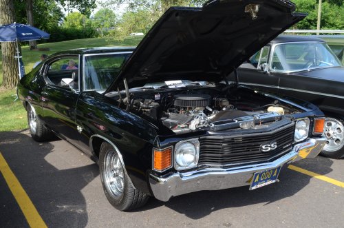 A Nice Variety at the Syrian Shrine Car Show