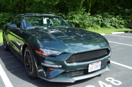 Ford, A Lot of Mustangs At the All-Ford Car Event