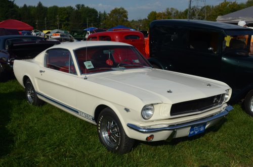 Mustangs At the Pumpkin Run