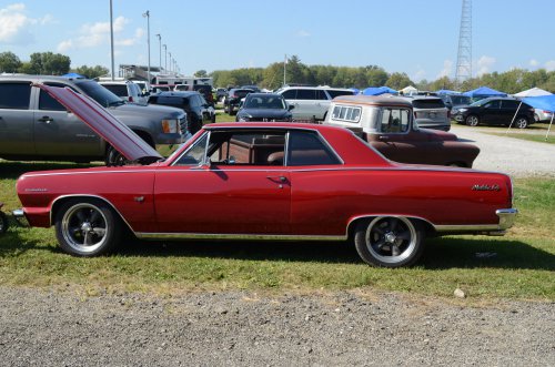 Pumpkin Run Is a Major Fundraiser
