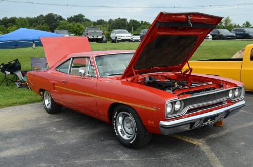 The Erlinger Lions Show Brought a Lot of Variety