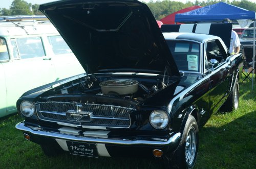 Mustangs Ponied Up at the Pumpkin Run Nationals