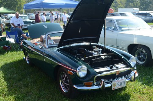 A Little Bit of Everything at the Pumpkin Run