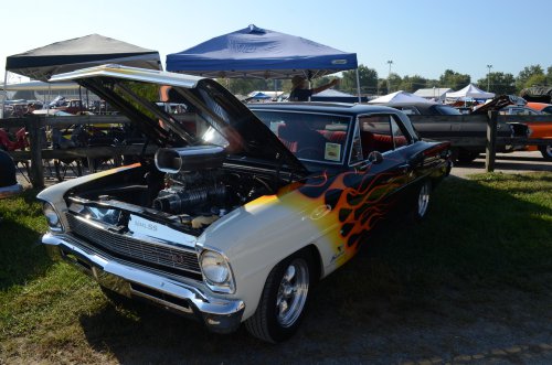 Customs At the Pumpkin Run