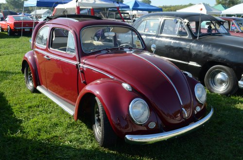 Bugs Made It to the Pumpkin Run