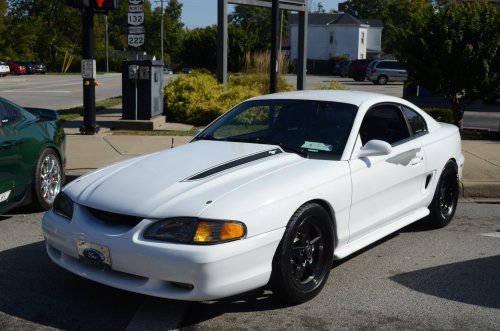 Mustangs Galloped to Batavia