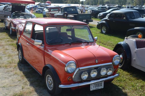 Great Variety at the Pumpkin Run