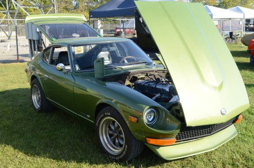 Foreigners Came to the Pumpkin Run