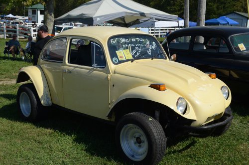 Bugs Made It to the Pumpkin Run