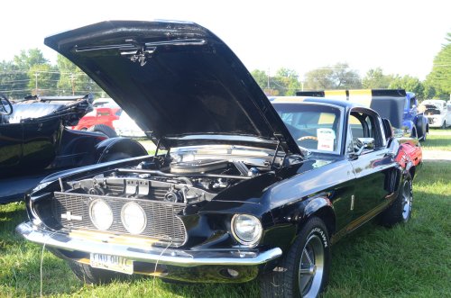 Mustangs Ponied Up at the Pumpkin Run Nationals