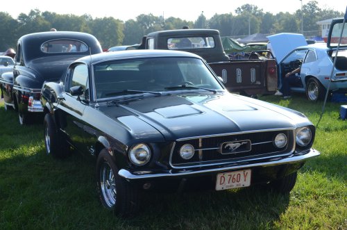 Mustangs Ponied Up at the Pumpkin Run Nationals