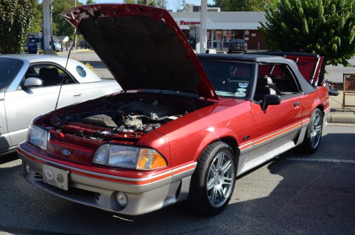 Mustangs Galloped to Batavia