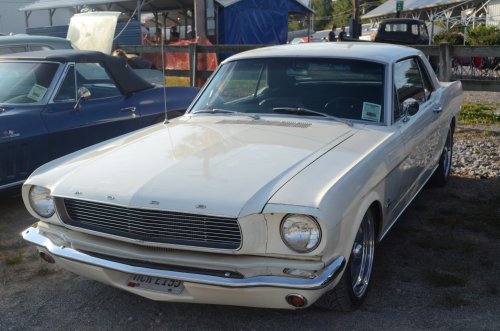 Mustangs Ponied Up at the Pumpkin Run Nationals