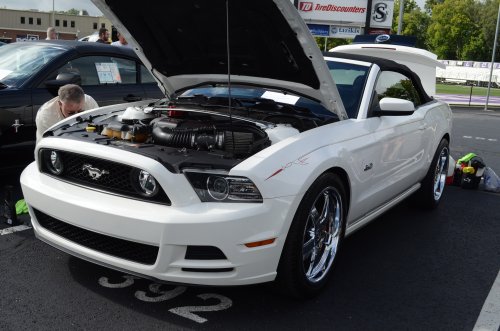 Ford, A Lot of Mustangs At the All-Ford Car Event