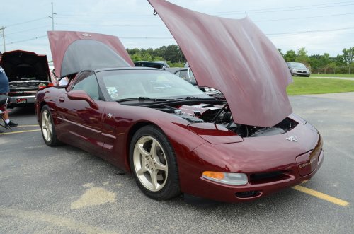 The Erlinger Lions Show Brought a Lot of Variety