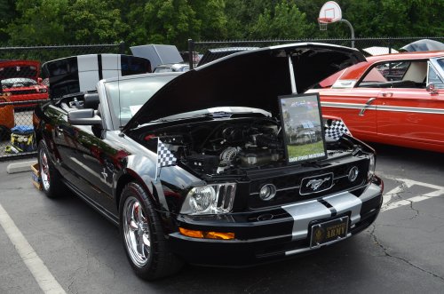 Nice Variety at the Untouchables Show