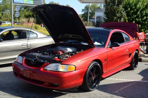 Mustangs Galloped to Batavia