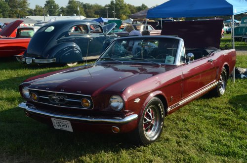Mustangs Ponied Up at the Pumpkin Run Nationals