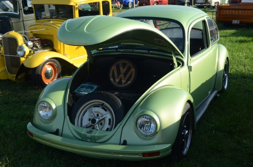 Beetles Crawled to the Pumpkin Run