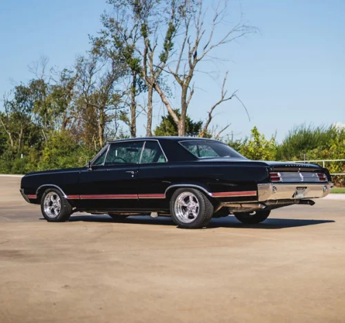 YES...The Future Looks Bright! Meet Chloe Japczyk