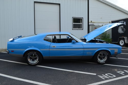Ford, A Lot of Mustangs At the All-Ford Car Event
