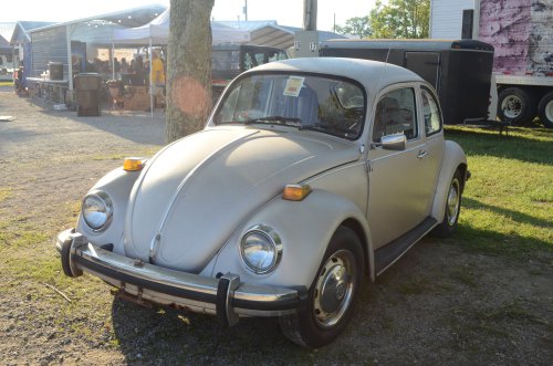 There Were Bugs at the Pumpkin Run